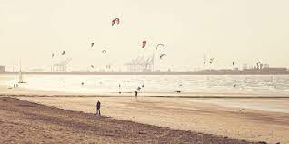These humidors contain 20 nub cigars: Knokke Heist Strand Und Shopping An Der Belgischen Kuste