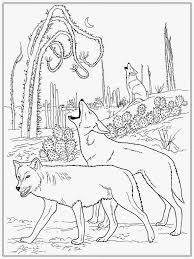 Pin On Coloring Animals