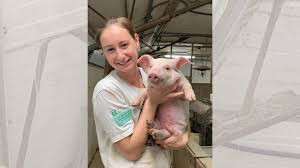 Encouragés par la crise à devenir les meilleurs