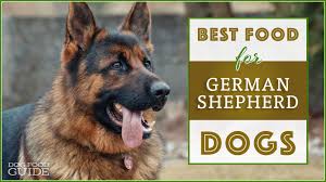 10 Best Healthiest Dog Food For German Shepherds In 2019