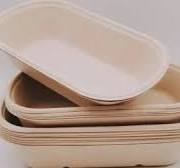 1000ml Disposable Sugarcane Bagasse Food Container with Lid