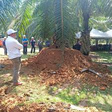 bengkel bawah pokok sawit