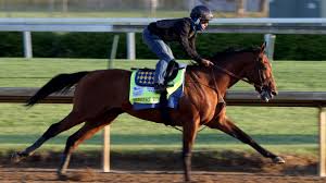 Preakness stakes 2021 post positions, odds, horses. Nmapb3pckknc5m