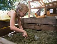 Composting Series: Recycling Holiday Scraps