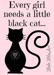 Click For The Latest Cats Stories Funny Cat Videos Stories Heartwarming Cat Rescue Stories Cat Quotes Black Cat Quotes Cat Quotes Funny