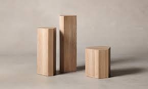 Image result for Plinthus