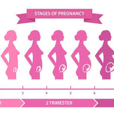 Saptamana 20 de sarcina, sfaturi pentru gravidute. Ce Nu Iti Spune Nimeni Despre Fiecare Saptamana De Sarcina Naste Natural