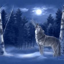 Best Wolf Howling At Moon Gifs Gfycat Wolf howling drawing wolf face drawing wolf drawings wolf totem cartoon wolf wolf pictures online drawing beautiful wolves forest animals. best wolf howling at moon gifs gfycat