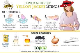 Home Remedies For Yellow Jacket Stings Top 10 Home Remedies Yellow Jacket Sting Yellow Jacket Sting Remedy Remedies For Bee Stings