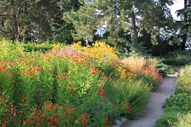 Hier findest du hilfreiche orte und ausgehmöglichkeiten auf und in der nähe von förstergarten: Herbstbeet Im Karl Foerster Garten Buro Christian Meyer