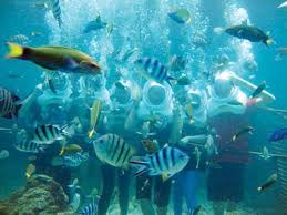 Pulau perhentian terdiri daripada dua pulau utama iaitu pulau perhentian kecil dan pulau perhentian besar. Aktiviti Sea Walking Di Pulau Manukan Malaysian Update Facebook