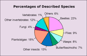 Case Study Why So Many Beetles