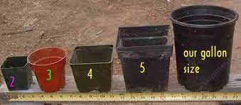 Nursery Container Sizes From 2 Inch Pot Liner 3 4 5 Through A Gallon Grid24 24 Native Plants Container Size Patio Pots