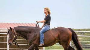 When Is Your Horse Too Old For A Certain Activity Horse Rider