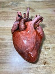 We did not find results for: Texas Bakery S Realistic Human Heart Cake Goes Viral