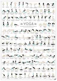 yoga 150 poses your body wishes to practice visual ly