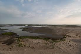 Discover the vessel's particulars, including capacity, machinery, photos and ownership. Vanaf Vandaag Nieuwe Waddeneilanden Te Bezoeken De Marker Wadden Trouw