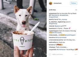 This is an incredible opportunity for instagrammers selling for the most money. 33 Of The Best Brands On Instagram Right Now