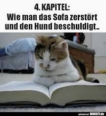 Besten Bilder Videos Und Spruche Und Es Kommen Taglich Neue Lustige Facebook Bilder Auf Debeste De Hier Katzen Lustige Spruche Tierischer Humor Katzen Witze