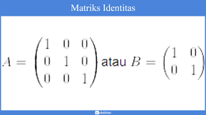 We did not find results for: Elemen Matriks Ordo Identitas Jenis Transpose Determinan Invers