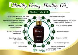 Halal trading b2b portal, business directory for importers and exporters, halal trade, halal food supplier, halal products manufacturer, halal manufacturers, halal distributors, halal importers, halal exporters, halal suppliers and halal merchants. Sacha Inchi Oil Halal Malaysia Posts Facebook