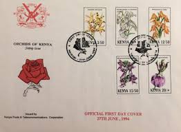 Image result for Brachycorythis kalbreyeri