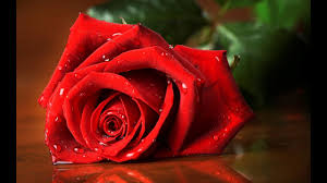 5 ianuarie 1878, iași, d. Trandafirul Emil Garleanu Youtube