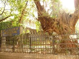Sewri Fort, Mumbai | Things to Know ...