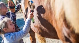 Equine Education Day at Prado Equestrian Center