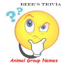 Some things that may come to mind include the tires on a vehicle, a singing quartet and four quarters to a whole. Second Life Marketplace Beeb S Trivia Animal Group Names