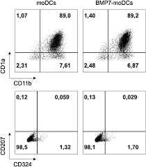 In may 2019 the fsa website was turned off. Bone Morphogenetic Protein Signaling Regulates Skin Inflammation Via Modulating Dendritic Cell Function Journal Of Allergy And Clinical Immunology