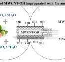 Fixed-bed adsorption of Paraquat onto MWCNT-OH ...