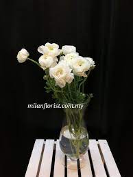 flower of today milan 米兰 洋牡丹 ranunculus 新鲜花材层层叠叠的花瓣柔软又整齐地聚拢在一起 让人忍不住想捧在手里