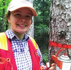 The Healing Place Invasion of the Gypsy Moth
