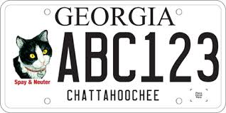 Beabes black cat with yellow eyes front license plate cover,cool animal with tears staring at yo… Motor Vehicle Division Georgia Department Of Revenue