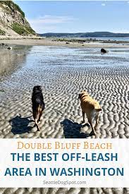 double bluff beach off leash dog park is a gorgeous 2 mile stretch of beach on whidbey island you won t find whidbey island washington whidbey island whidbey