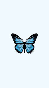 We did not find results for: 18 Daisiawalker Ideas In 2021 Iphone Background Wallpaper Butterfly Wallpaper Iphone Blue Butterfly Wallpaper
