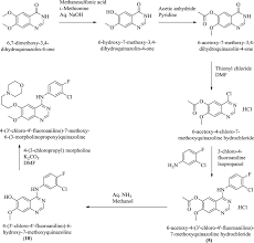 We did not find results for: Improved Protocol For Synthesis Of N 3 Chloro 4 Fluorophenyl 7 Methoxy 6 3 Morpholin 4 Ylpropoxy Quinazolin 4 Amine Gefitinib Springerlink