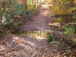 Ravine Ravings Mountain Biking Chicopee Woods