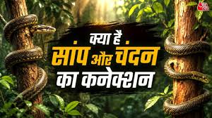 AajTak