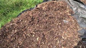 Contoh ucapan ulang tahun dalam bahasa inggris. Cara Membuat Pupuk Kompos Dari Daun Kutanam