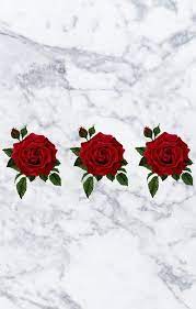 Gambar Aesthetic Pink And Alternative Iphone Wallpaper Pink Wallpaper Iphone Aesthetic Roses