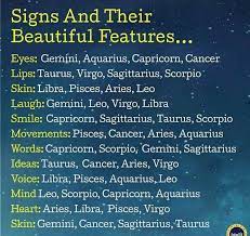 Use them in commercial designs under lifetime, perpetual & worldwide rights. My Gemini Has Beautiful Eyes And A Boisterous Laugh I Love To Caress His Tummy Until He Laughs A Zodiac Signs Gemini Zodiac Signs Aquarius Zodiac Signs Taurus