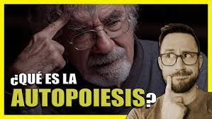 Catalina Cabana's Instagram, Twitter & Facebook