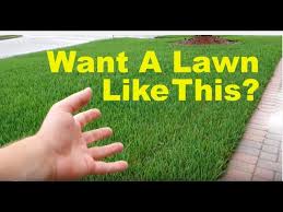 And we offer a variety of lawn care including espoma all season lawn food. How To Fix An Ugly Lawn Lawn Care Tips For Beginners Youtube