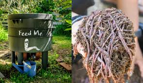 We're the world class leader of worm farming for over 40 years. Vermicomposting How To Start Your Own Worm Bin