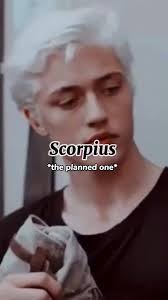 Draco and Y/n Baby Fever POV TikTok