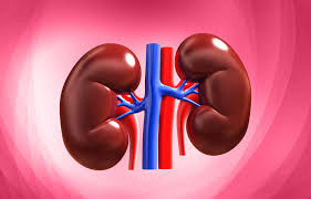 Maybe you would like to learn more about one of these? In India Kidney Failure Patients Are Much Younger Fortis Escorts