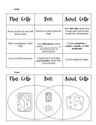 Pin On Grade 5 Science Standard 7