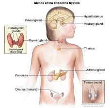 So you have control on most of the hair. Mccune Albright Syndrome Medlineplus Genetics
